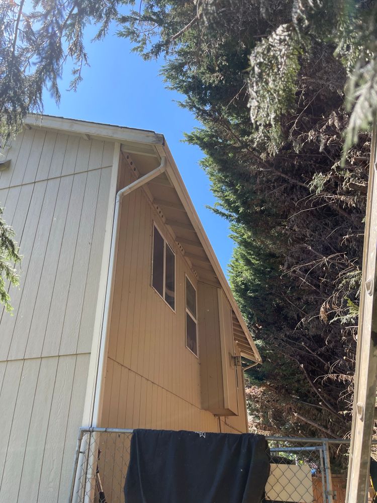 All Photos for Tony's Remodeling & Painting in Renton, WA