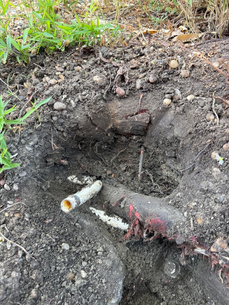 All Photos for CBA Landscaping in Hayward, CA