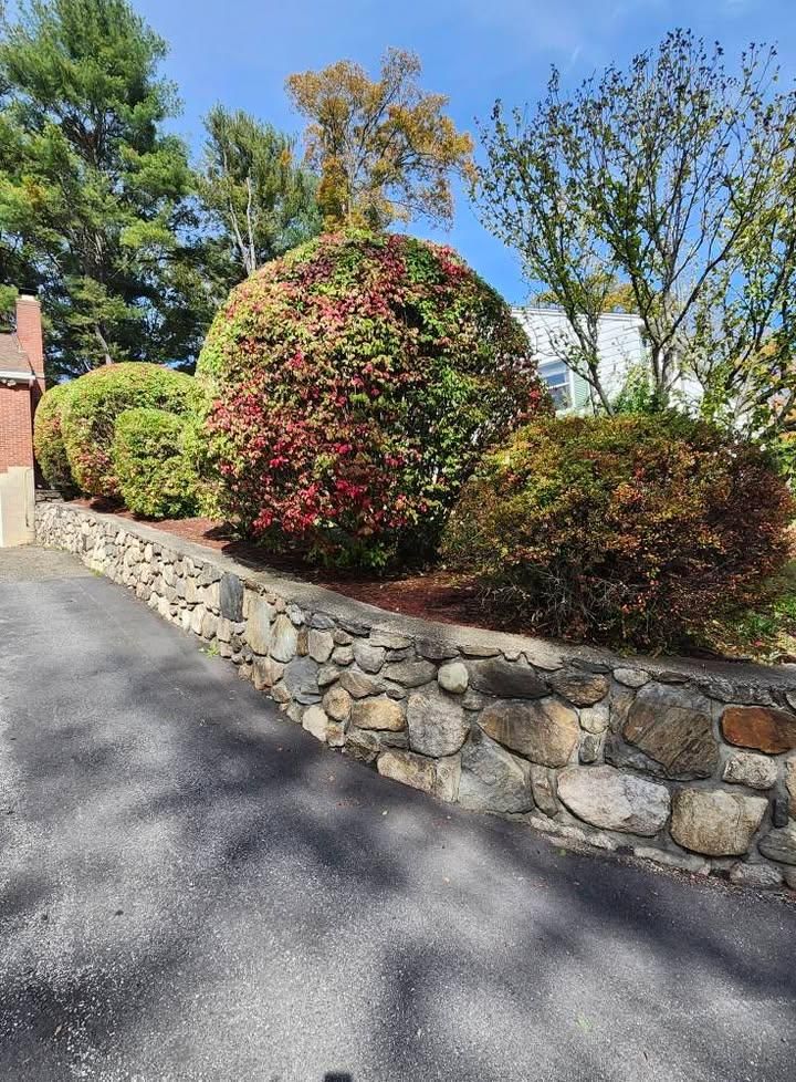 All Photos for Landscape Innovations LLC in Torrington, CT