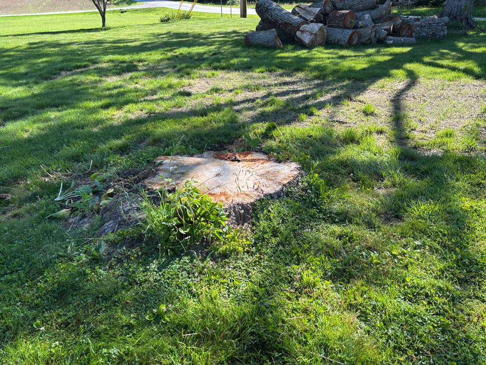 All Photos for Conrad's Stump Removal in Columbus, IN