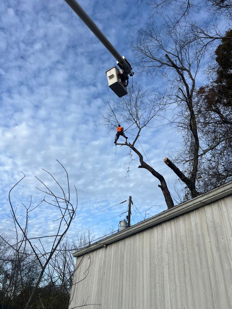All Photos for Ground To Sky Tree Care in Asheville, North Carolina