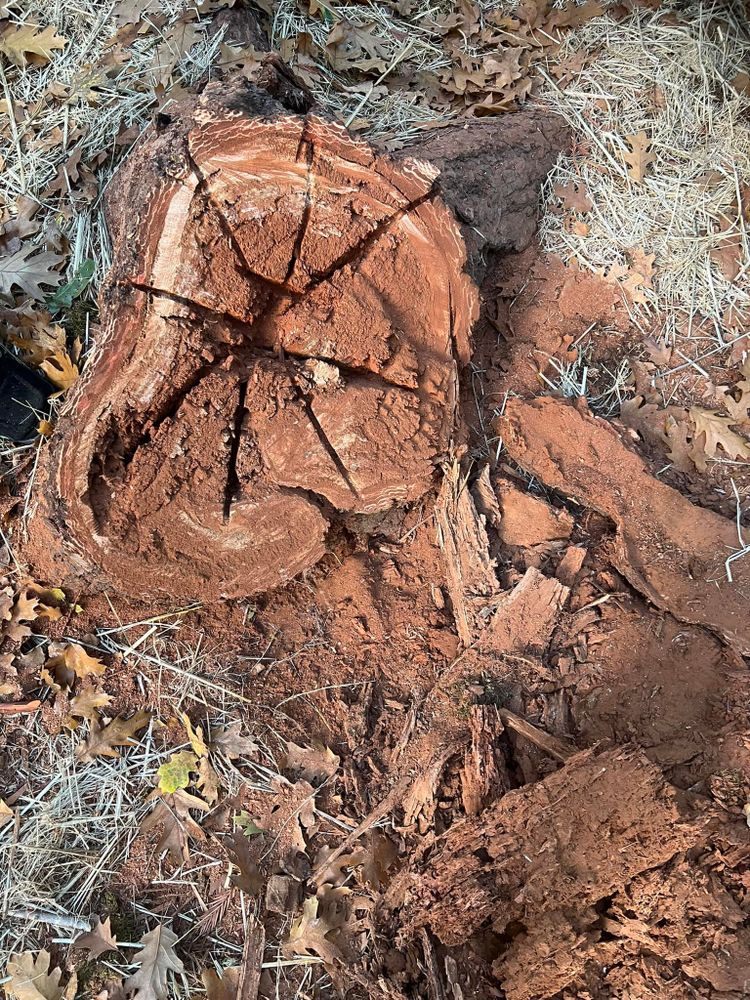 Our Tree Removal service offers safe, efficient removal of unwanted trees to enhance your property’s aesthetics and safety, ensuring minimal disruption during construction and remodeling projects. Trust our skilled team for seamless results. for Stanisloo’s Landscaping and Services in Potter Valley, CA