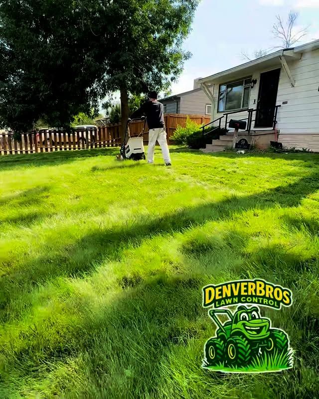 All Photos for Denver Bros Lawn Control in Denver, CO