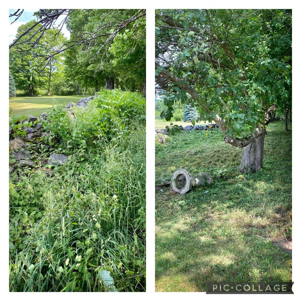 All Photos for Bishop’s Property Maintenance in Franklin, VT
