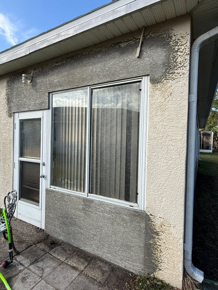 All Photos for Escorpio Painting in Tampa, FL