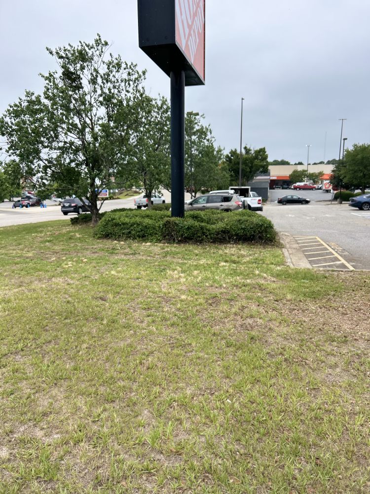 All Photos for Trinity Landscapes  in Lumberton, NC