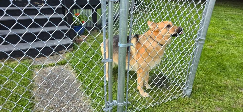 All Photos for Backyard Fence Solutions LLC in Uniontown, PA