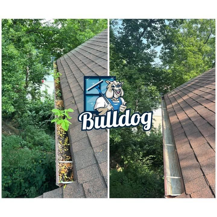 All Photos for Bulldog Cleaning Services in Walworth County, WI