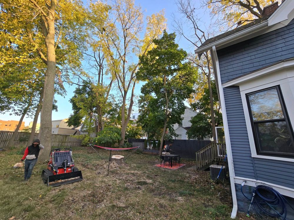 All Photos for D Hale Tree Service in Ann Arbor, MI