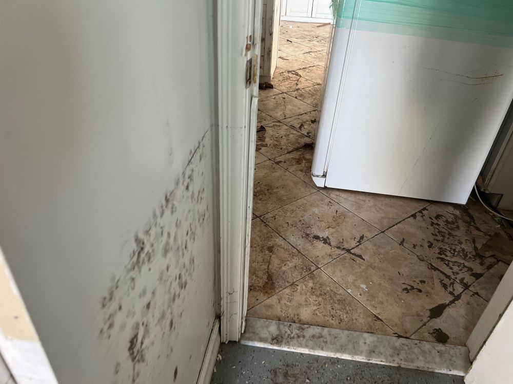 Mold Remediation for N&D Restoration Services When Disaster Attacks, We Come In in Cape Coral,  FL