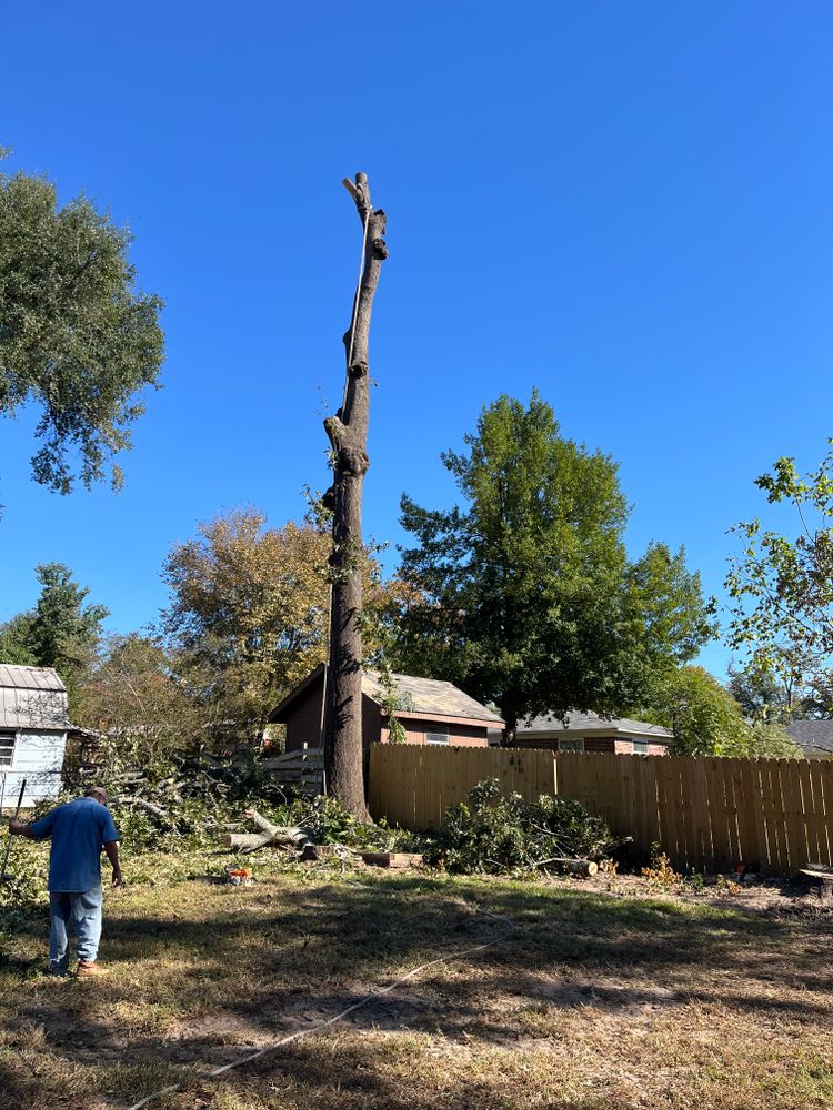 All Photos for JC Land and Tree Service in Kilgore, TX
