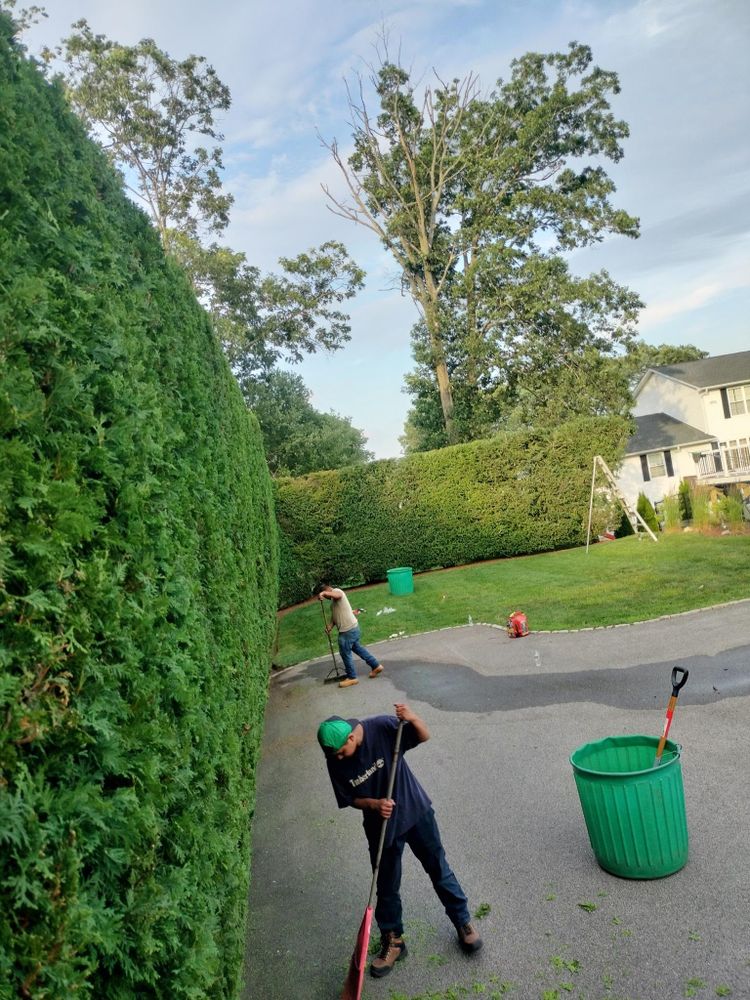 All Photos for CHACH Landscaping & Construction in Providence, RI