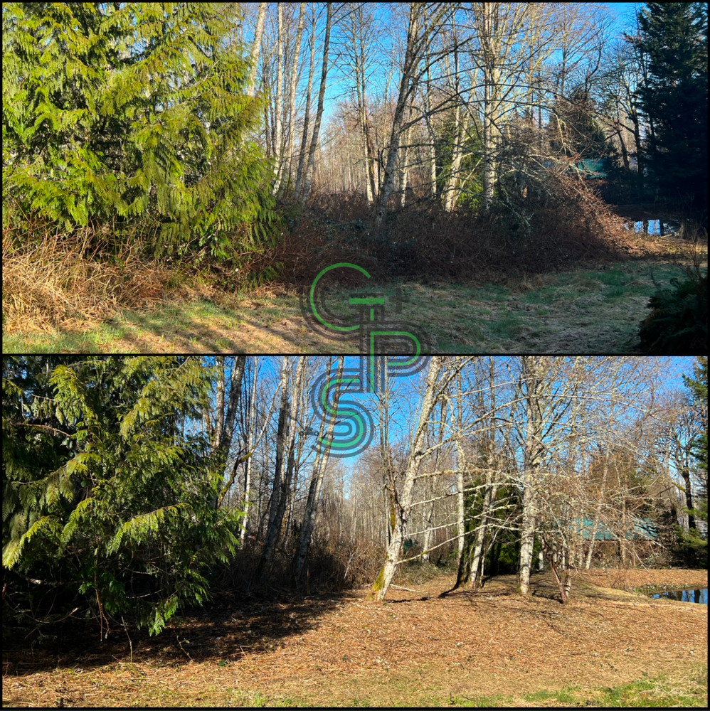 Blackberry Mulching - Brush Clearing for Golovin Property Services LLC in Marysville, WA