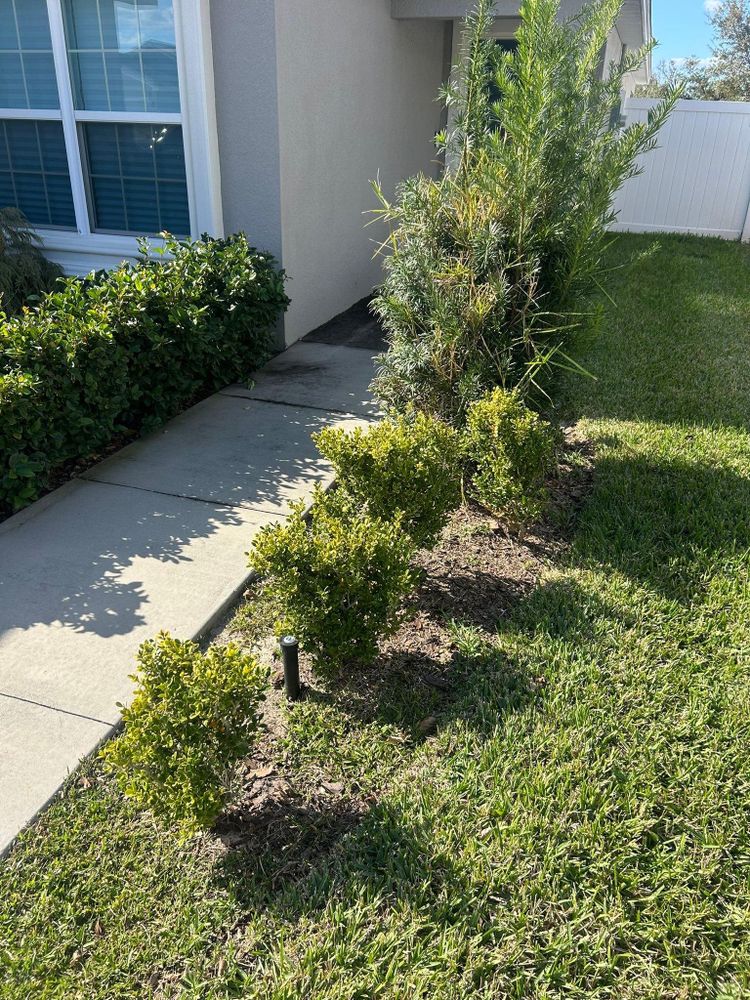 All Photos for Estrada All Pro Lawn Service in Auburndale, Florida