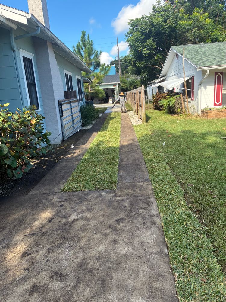 All Photos for Gulf Bay Sod in Clearwater, FL