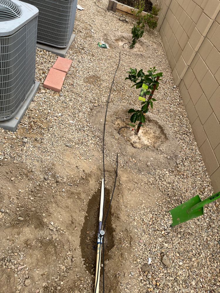 All Photos for Grand Canyon State Landscape Inc. in Surprise, AZ