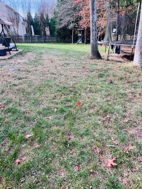 All Photos for River City Scoopers in Midlothian, VA