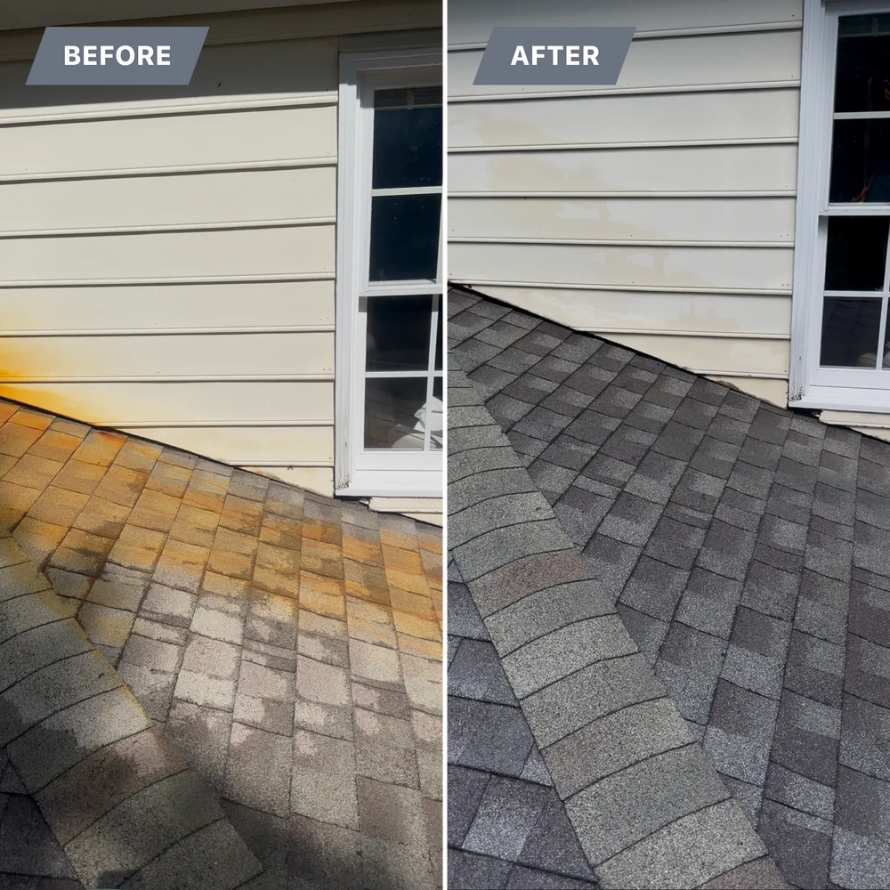 All Photos for LeafTide Solutions in Richmond, VA