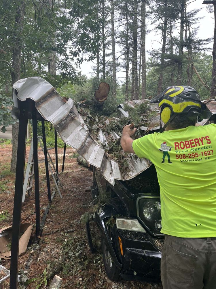 Storm Clean-up for Robery's Tree Service in West Wareham, MA