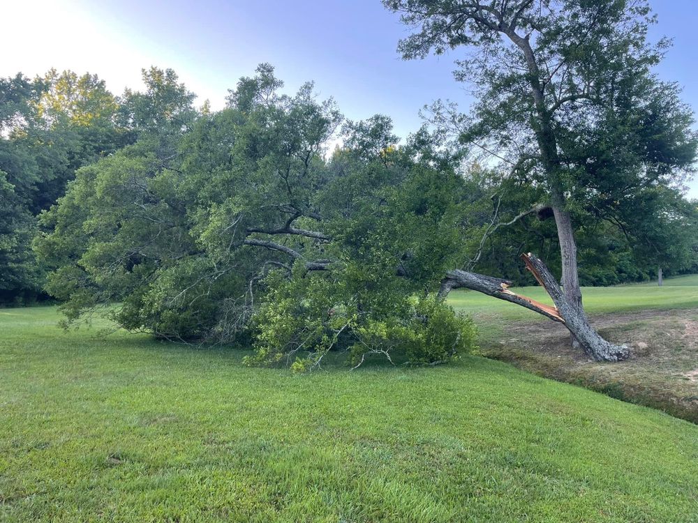 All Photos for Palmetto State Landscaping in Gaffney, SC