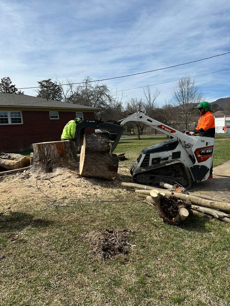 Our Tree Removal service provides safe, efficient removal of unwanted or hazardous trees, protecting your property and landscape. Trust our experts to carefully manage each project with minimal disruption and complete cleanup. for Complete Care in Cumberland Gap, TN