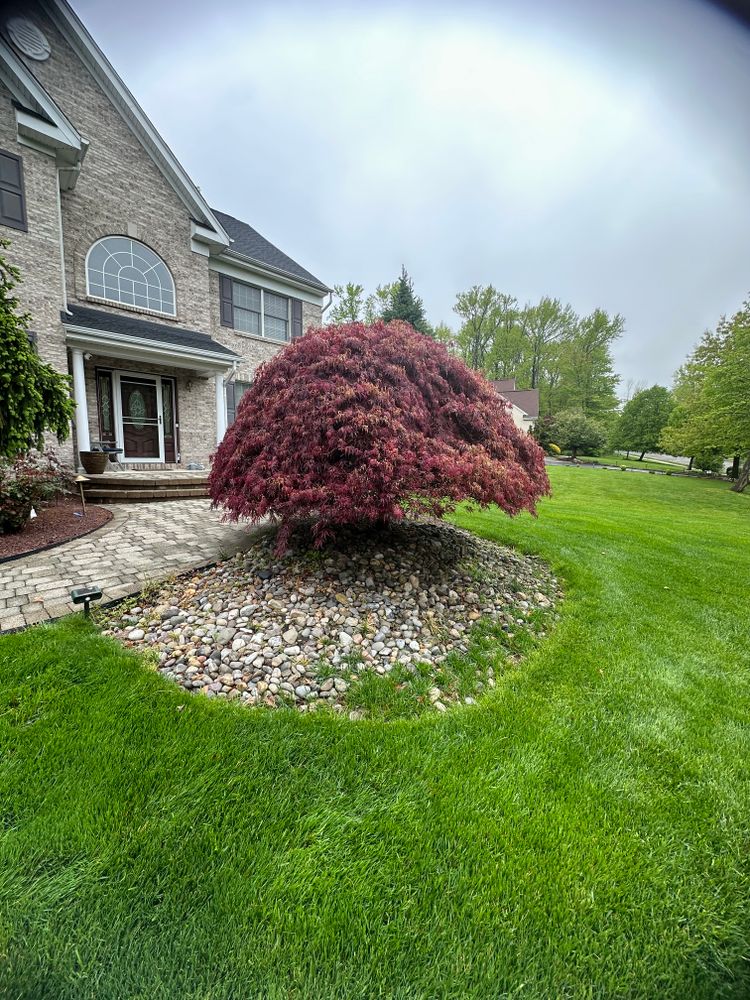 All Photos for Green Way Landscape and Building Maintenance in Princeton, NJ