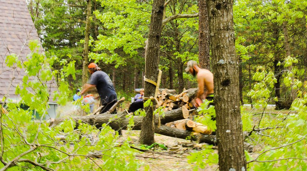 Tree Removal for A.M. Forestry LLC in Nekoosa, WI