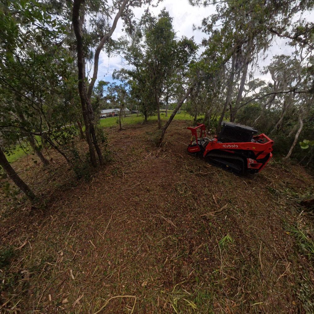 Our Land Clearing & Brush Removal service efficiently clears your property of unwanted vegetation, enhancing safety and aesthetic appeal while preparing your landscape for future projects or maintenance. for Family Roots Landworks and Debris Removal in Newberry, FL