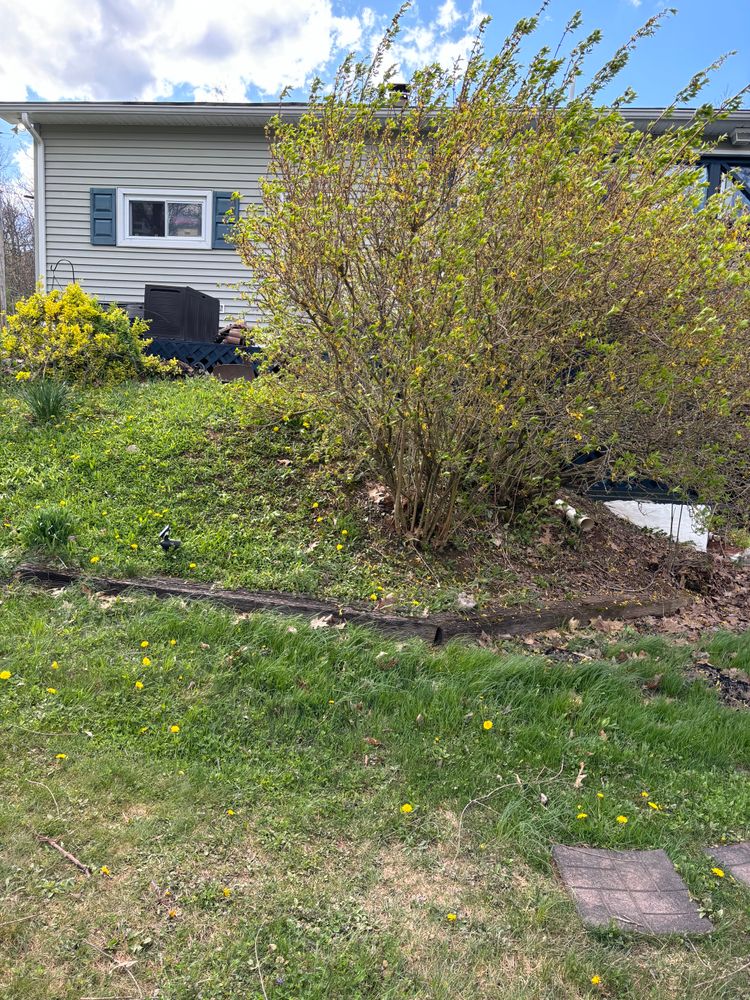 All Photos for Bryant Property Solutions in Altoona, PA