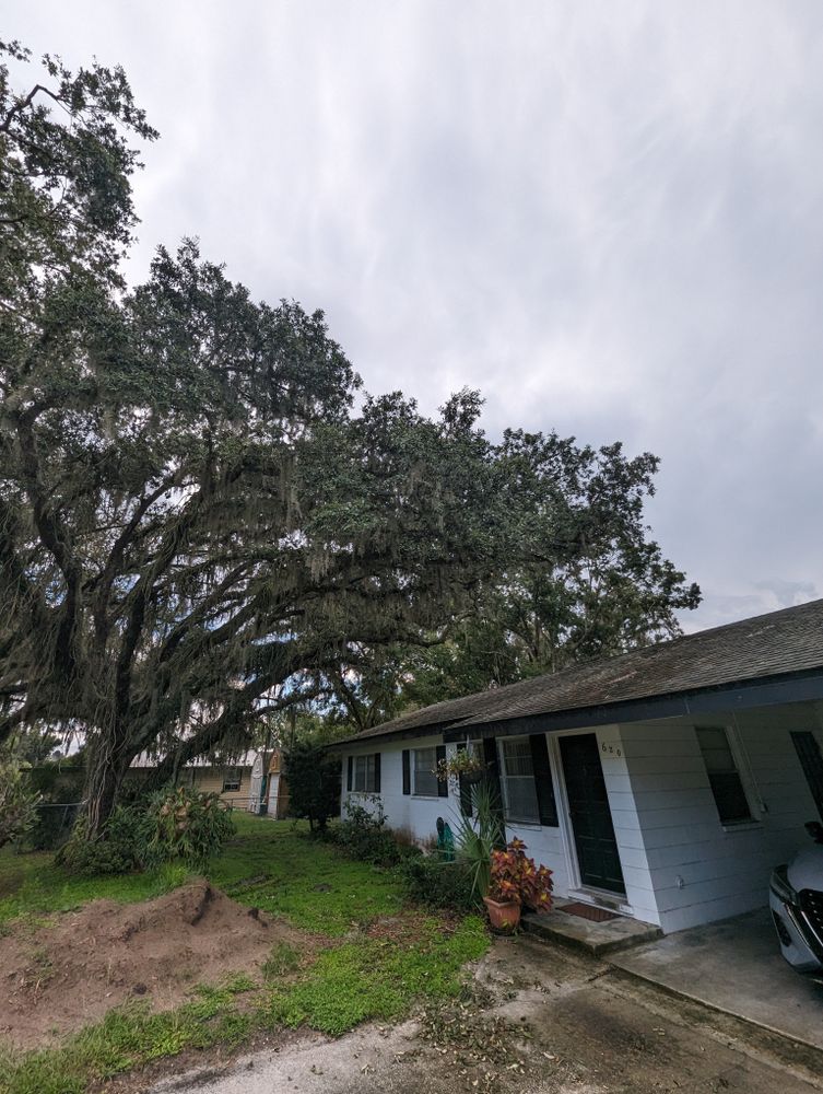 All Photos for Regal Tree Service and Stump Grinding in Wauchula, FL