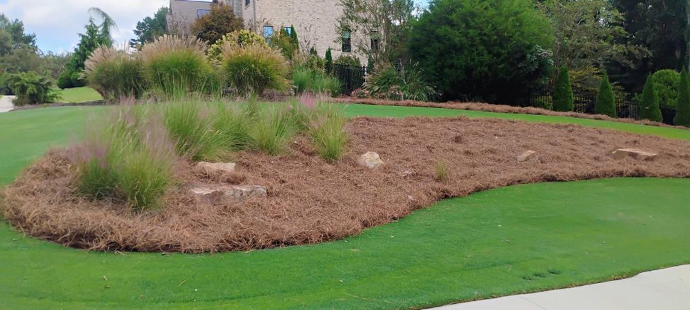 All Photos for BAM Another Pinestraw Lot in Flowery Branch, GA