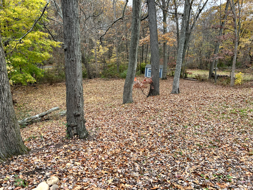 All Photos for Dibs Landscaping LLC in Cheshire, CT