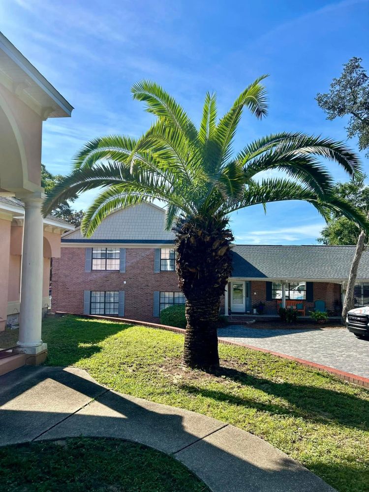 All Photos for Old Florida Lawncare in Baker, FL