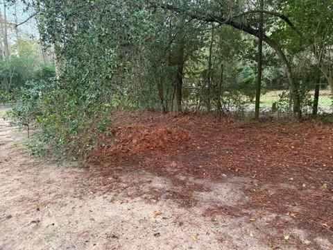 All Photos for Servin's Tree Care  in Houston, TX