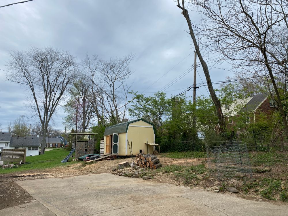 All Photos for Houtz Tree Service in Lexington, KY