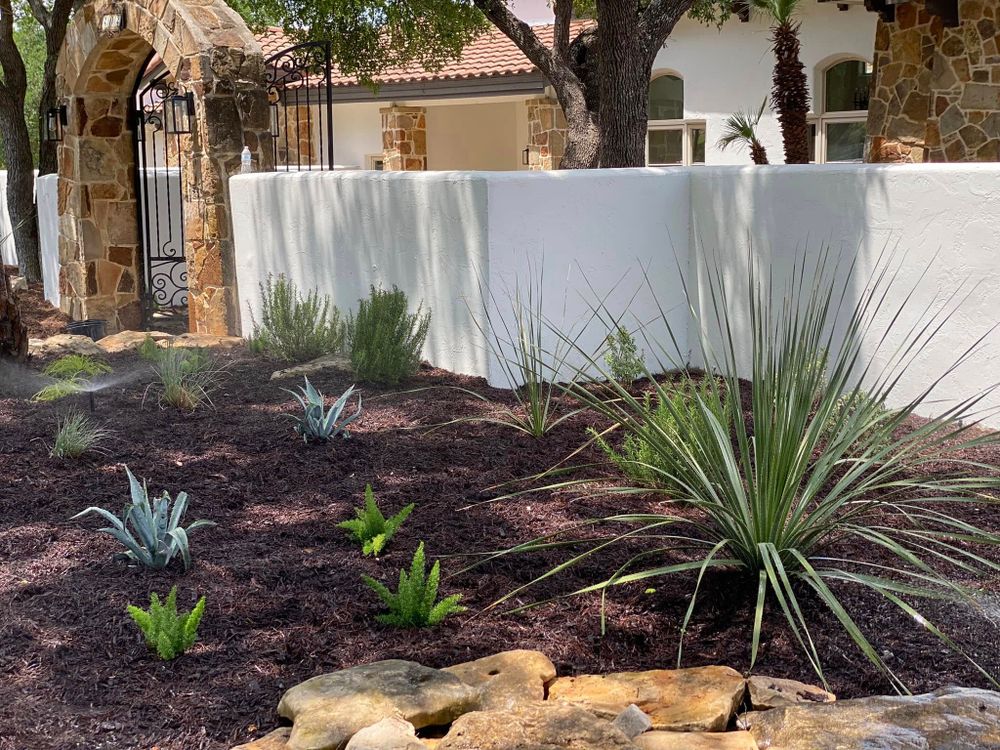 All Photos for Robert’s Lawn & Tree Service in Austin, TX