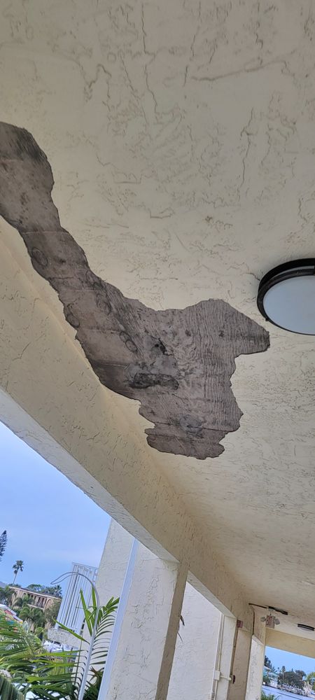 All Photos for Millenium Construction & Property Management in Tampa, FL