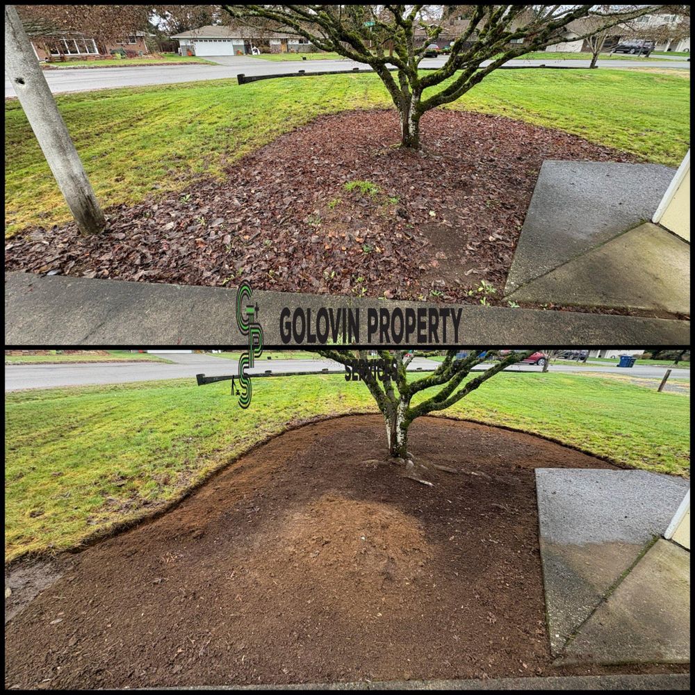 Fall Clean Up for Golovin Property Services LLC in Marysville, WA