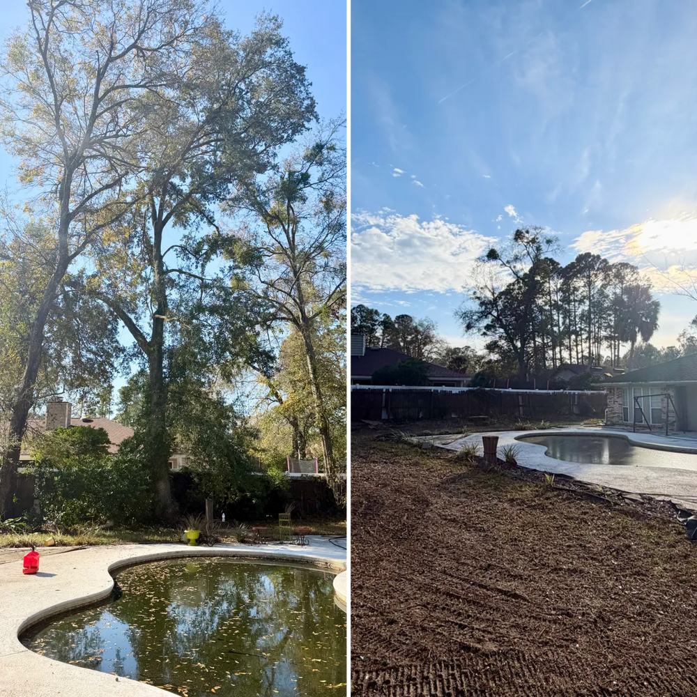 All Photos for Top Notch Tree Experts in Orange Park, FL