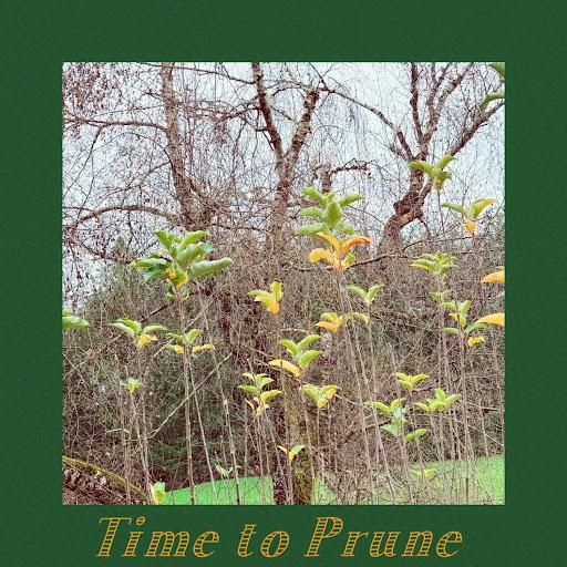 All Photos for Handy Hands Landscape in Corvallis, OR