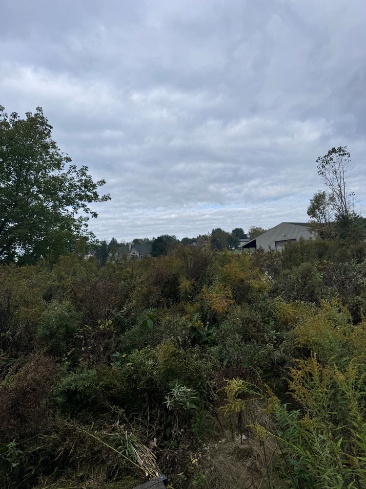 Brush Hog Services for Steed's Lawn and Landscape LLC in White Lake, MI