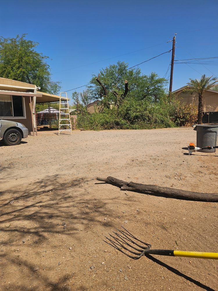 All Photos for T's Tree Service and Firewood in Apache Junction, AZ