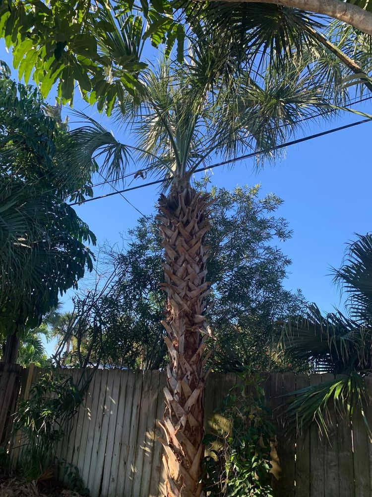 All Photos for Space Coast Property Maintenance and Management LLC in Melbourne, FL