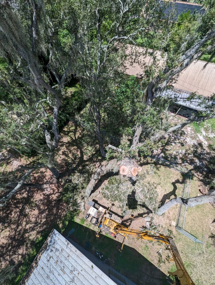All Photos for Regal Tree Service and Stump Grinding in Wauchula, FL