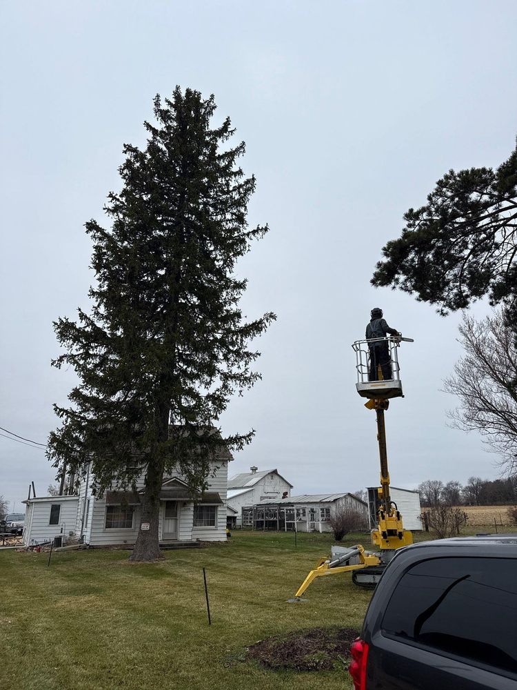 All Photos for Fransen's Tree Service  in Freeport, IL