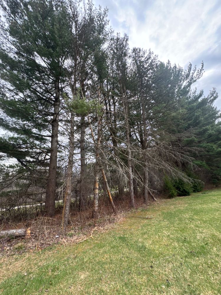 All Photos for McKenzie's Landscaping LLC in Shelby, OH