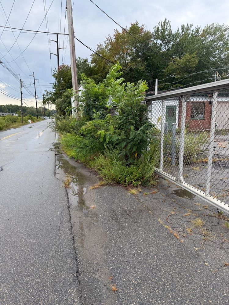 All Photos for Lucas Property Maintenance LLC in New Bedford, MA