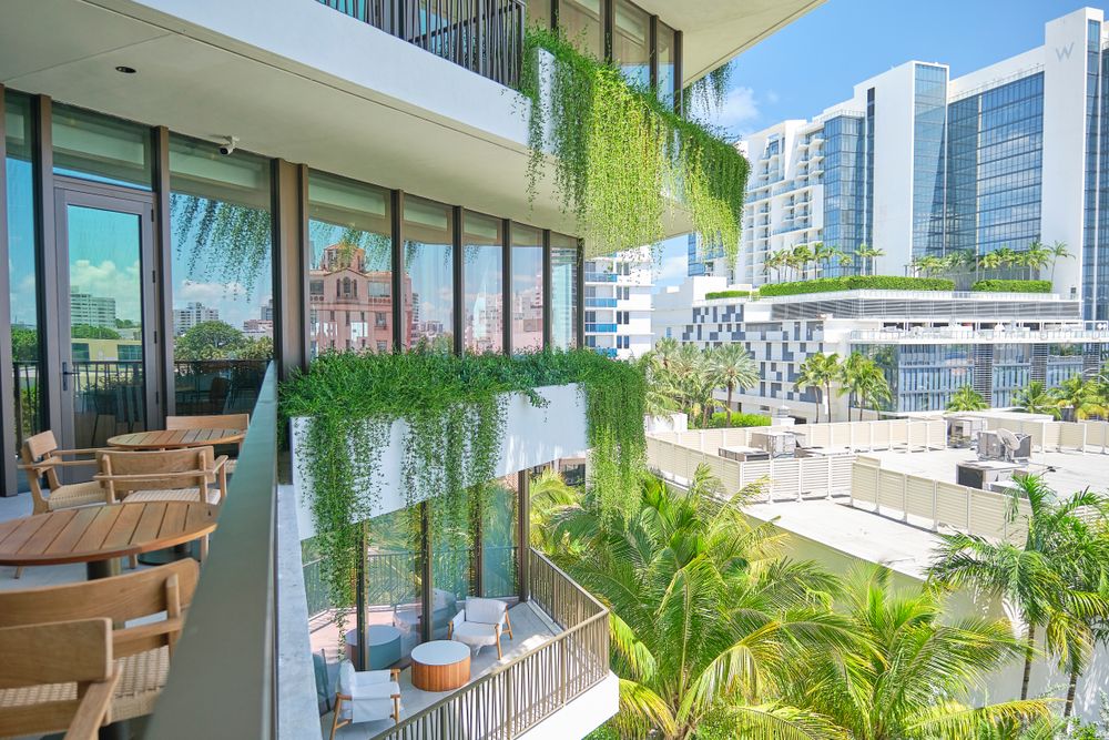 Landscape for Arazoza Brothers Corporation in Miami, FL