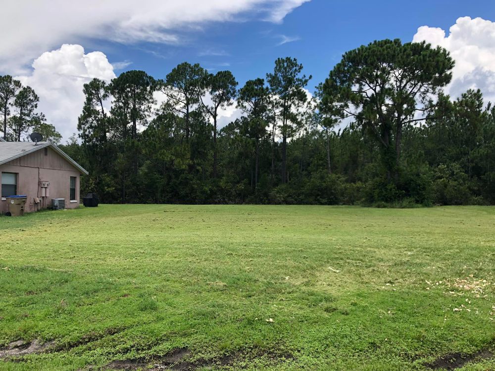 Landscaping for Fix It Manny in Clermont, FL