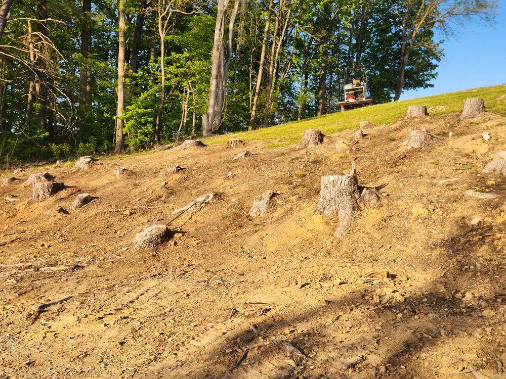 Landscaping for Southern Kentucky Hydroseeding LLC in Glasgow, KY